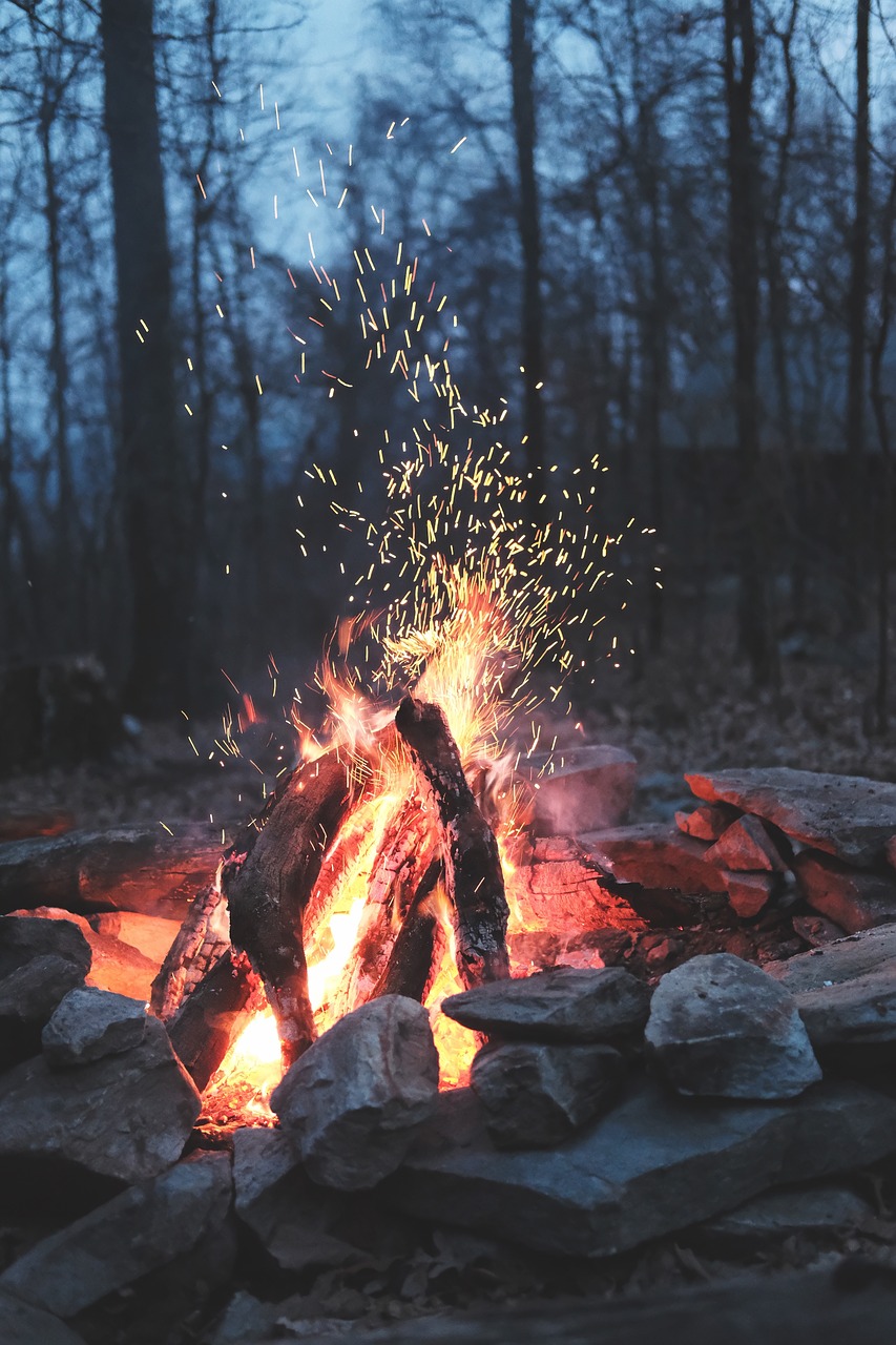 nature, fire, bonfire-2588685.jpg